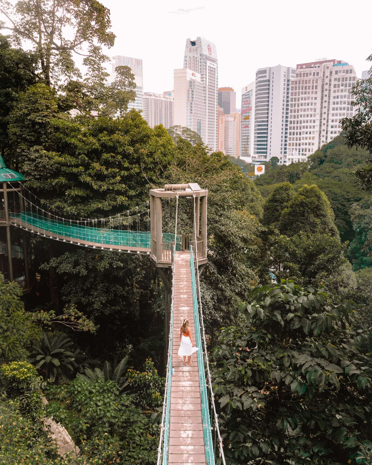things-to-do-kuala-lumpur-Eco-Forest.jpg